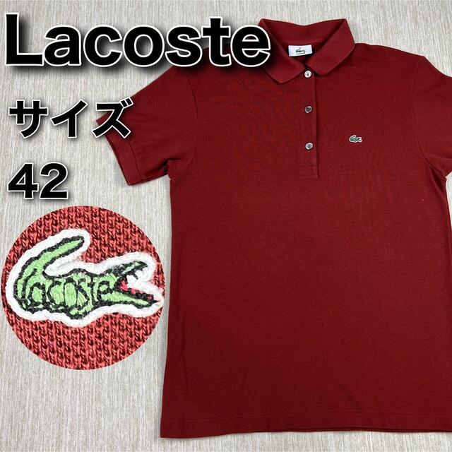 LACOSTE(ラコステ)のLacoste ラコステ　ポロシャツ　ブラウン　茶　半袖　サイズ40 古着 レディースのトップス(ポロシャツ)の商品写真