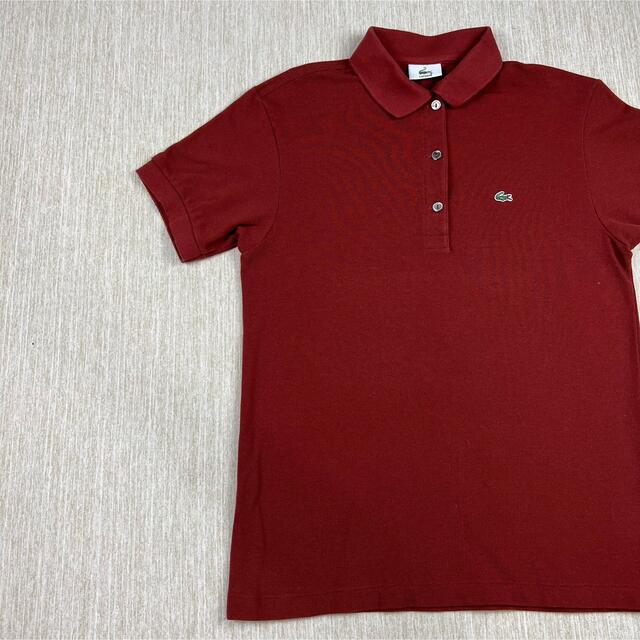 LACOSTE(ラコステ)のLacoste ラコステ　ポロシャツ　ブラウン　茶　半袖　サイズ40 古着 レディースのトップス(ポロシャツ)の商品写真