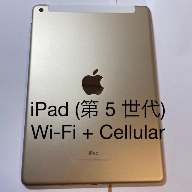 iPad (第5世代) Wi-Fi + Cellular SIMフリー ジャンク | paymentsway.co