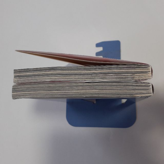 金田一37歳の事件簿13巻 金田一少年の事件簿30th 2冊セット エンタメ/ホビーの漫画(青年漫画)の商品写真