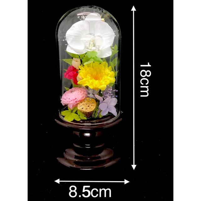 お供え花　【仏花】胡蝶蘭お供えの花　H18cm 　花器ガラスドームアレンジ　1対納骨堂