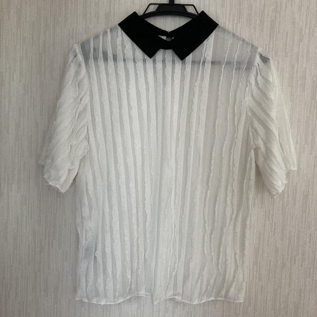 レディース　シャツ　トップス  レディースのトップス(Tシャツ(半袖/袖なし))の商品写真