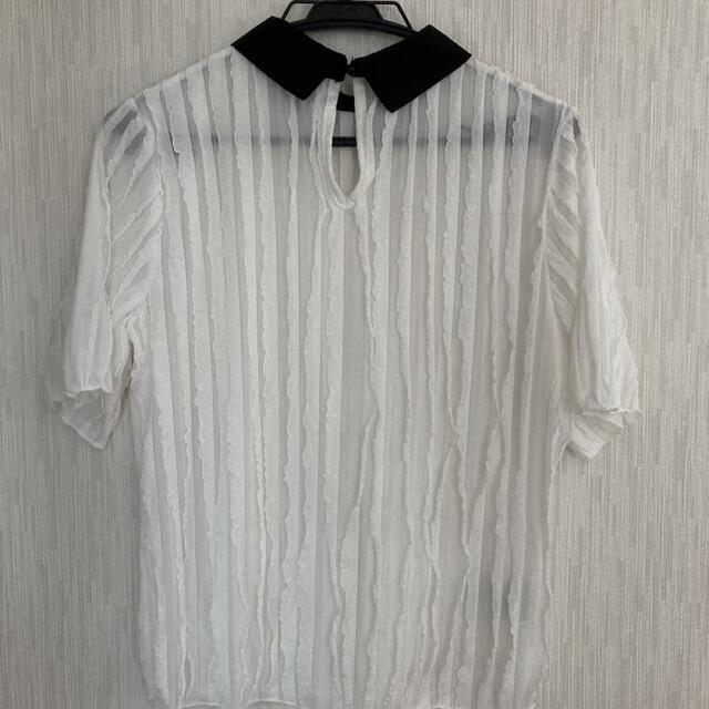 レディース　シャツ　トップス  レディースのトップス(Tシャツ(半袖/袖なし))の商品写真