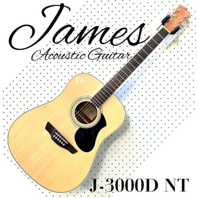 島村楽器 James アコースティックギター トップ単板 J-300D