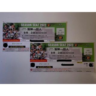 ハンシンタイガース(阪神タイガース)の9月3日　甲子園　阪神vs 巨人　グリーンシート上段　ペア(野球)