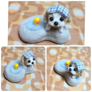 きのこのこのこ様専用ページ 温泉でぽかぽかわん♨️ シーズー 犬 いぬ