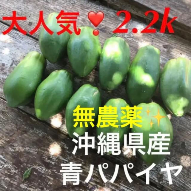 大人気❣️無農薬✨沖縄産青パパイヤ✨2.2k分✅ 食品/飲料/酒の食品(野菜)の商品写真