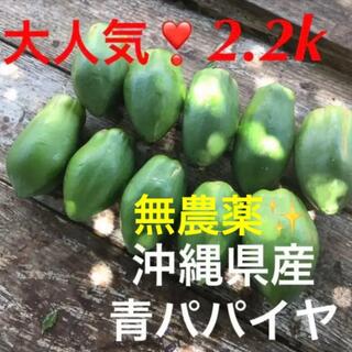 大人気❣️無農薬✨沖縄産青パパイヤ✨2.2k分✅(野菜)