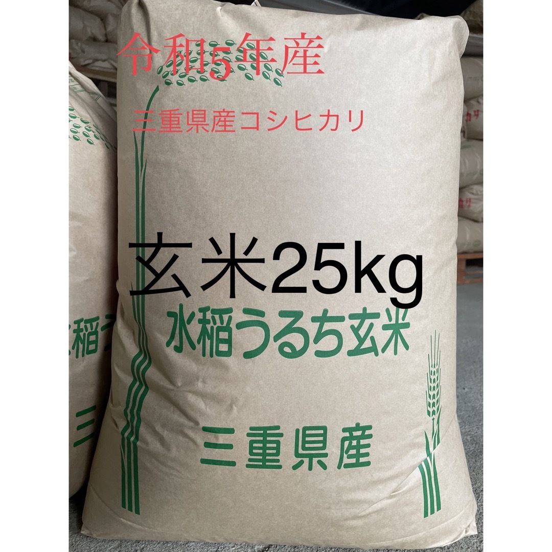 25　米/穀物　農家直送コシヒカリ　玄米25kg