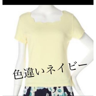 プロポーションボディドレッシング(PROPORTION BODY DRESSING)のproportion トップス2着(カットソー(半袖/袖なし))