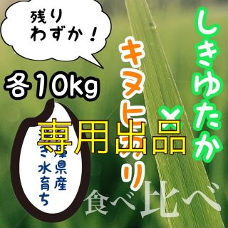 山の湧き水で育てたお米 農家直送 兵庫県産キヌヒカリ×シキユタカ 各10kg(米/穀物)