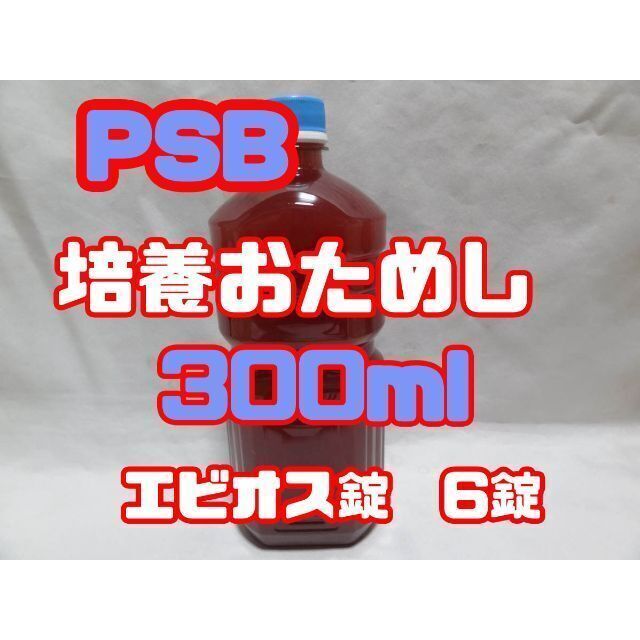 ★☆「種PSB 」300ml+エビオス6錠 ☆★ その他のペット用品(アクアリウム)の商品写真