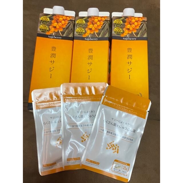 豊潤サジー 未開封3本 1000ml-hybridautomotive.com