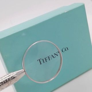 Tiffany & Co. - ティファニー 彫刻 ルーペ シルバー ネックレス AA100