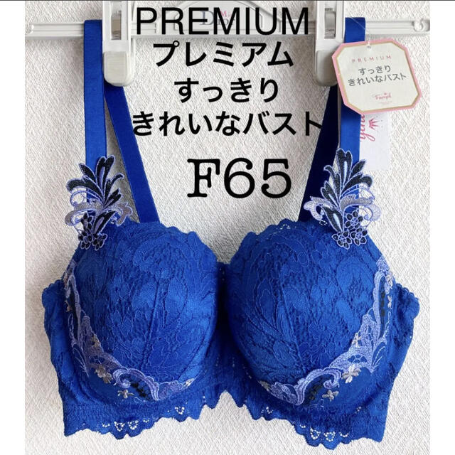 【新品タグ付】トリンプ／PREMIUMプレミアム・F65（定価¥8,580）