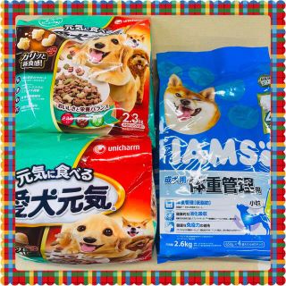 ユニチャーム(Unicharm)のドックフード2種3袋　IAMS 愛犬元気　ユニチャーム(ペットフード)