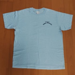 テッドマン(TEDMAN)のTシャツ👕 Lサイズ tedman テッドマン(Tシャツ/カットソー(半袖/袖なし))