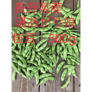 長野県産　枝豆　約500g(野菜)