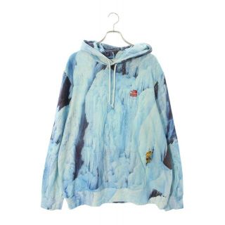 Supreme North Face Ice Climb Hooded パーカー