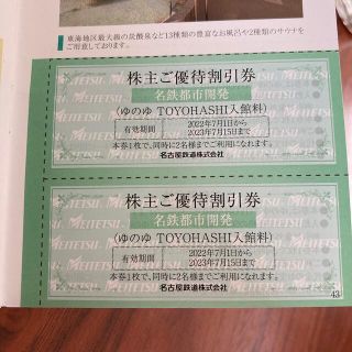 ゆのゆ　豊橋　TOYOHASHI 入館料　名鉄優待(その他)