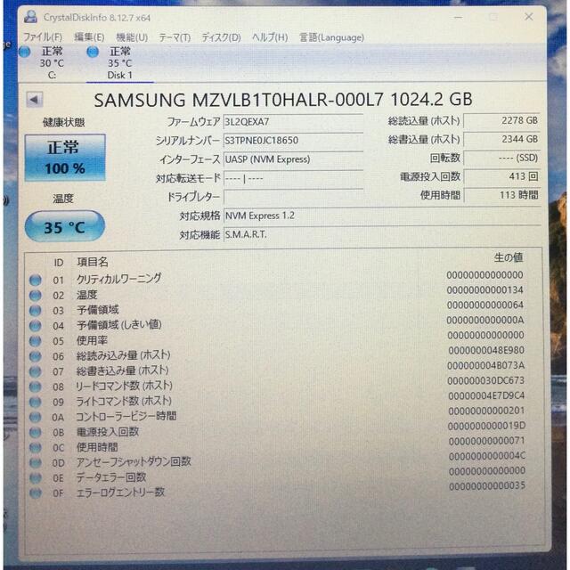 Samsung SSD M.2 NVMe 2280 1TB 使用時間113h