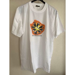 新品 ウミガメのTシャツ L(Tシャツ/カットソー(半袖/袖なし))