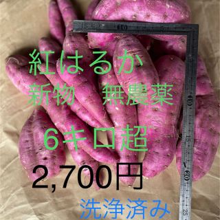 さつまいも　紅はるか　新物　　　　　　　　6キロ超2700円　鹿児島県産(野菜)