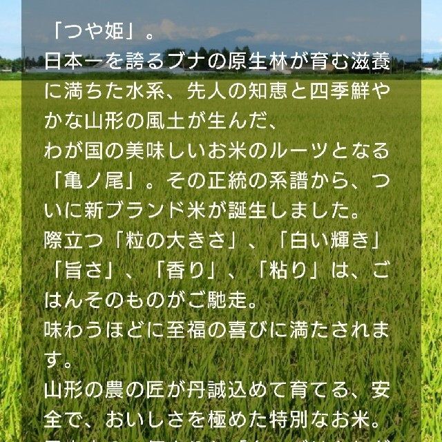 つや姫10kg（5kg×2袋）  山形県産令和３年産 2