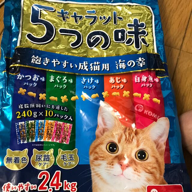 キャットフード   かつお味240g、マグロ味240g の2袋です。 その他のペット用品(ペットフード)の商品写真