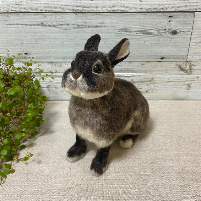 羊毛フェルト うさぎ 羊毛フェルト うさぎ