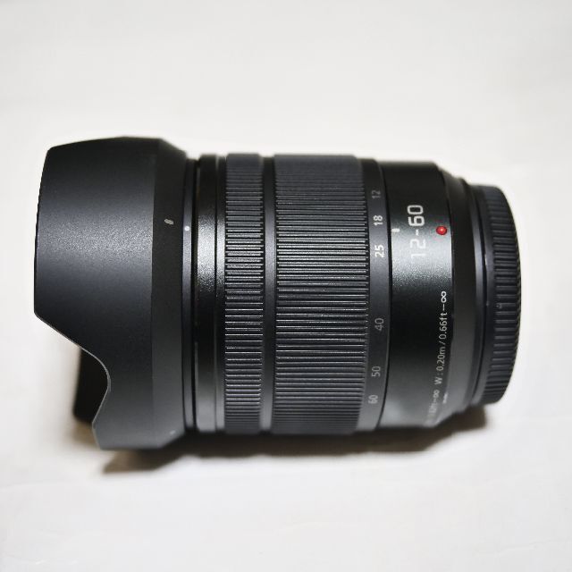 LUMIX G VARIO 12-60mm/F3.5-5.6 H-FS12060