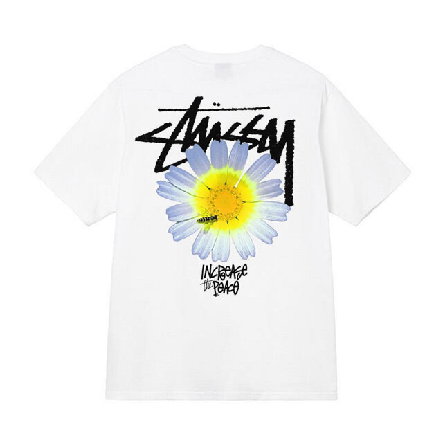 STUSSY(ステューシー)の白 XL と黒XL 2枚セット メンズのトップス(Tシャツ/カットソー(半袖/袖なし))の商品写真