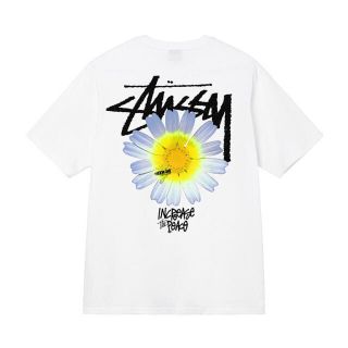 ステューシー(STUSSY)の白 XL と黒XL 2枚セット(Tシャツ/カットソー(半袖/袖なし))