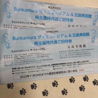 2枚　Bunkamura　ザ・ミュージアム　五島美術館　株主優待券(美術館/博物館)