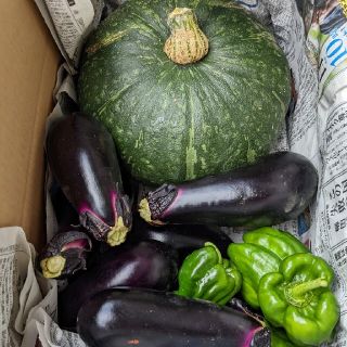 かぼちゃ、ナス、お野菜詰め合わせ80サイズ写真のペットボトルは大きさ見本(野菜)