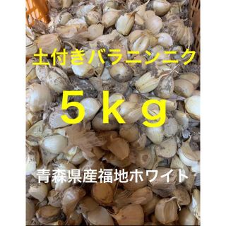 【新物数量限定】青森県産福地ホワイト六片 土付きバラニンニク ５ｋｇ(野菜)