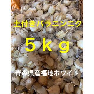 【新物数量限定】青森県産福地ホワイト六片 土付きバラニンニク ５ｋｇ(野菜)