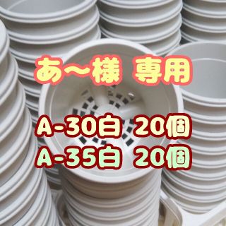 プラ鉢3.5号鉢【A-35】20個 他 スリット鉢 丸 プレステラ 多肉植物(プランター)