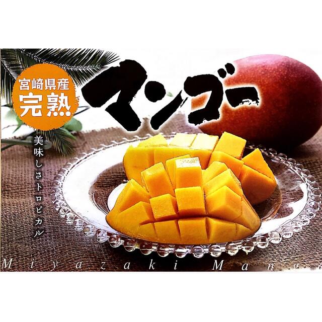 宮崎県産 完熟マンゴー 5~6玉 1.5kg バラ詰め - フルーツ