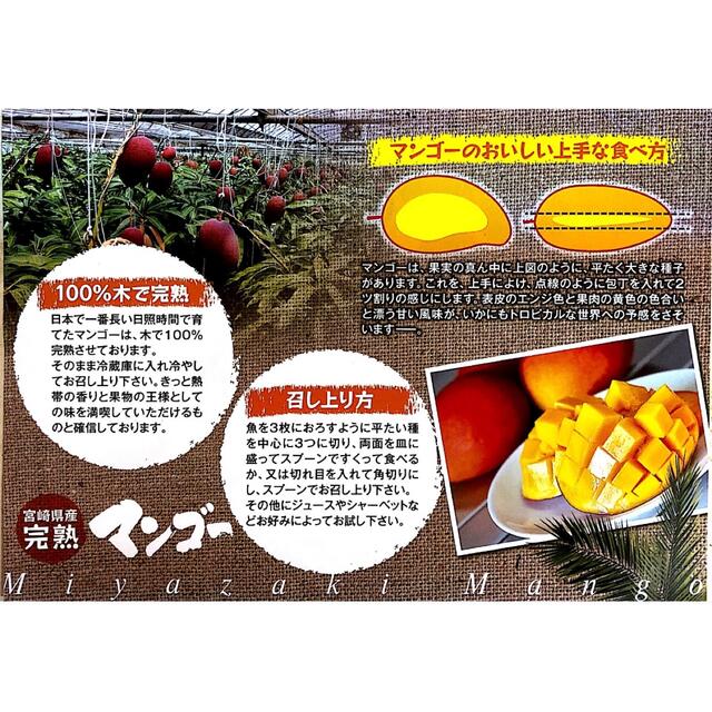 バラ詰め　宮崎県産　完熟マンゴー　1.5kg　5~6玉　フルーツ