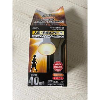 LED電球 レフランプ形 E17 40形相当 人感・明暗センサー付 (蛍光灯/電球)