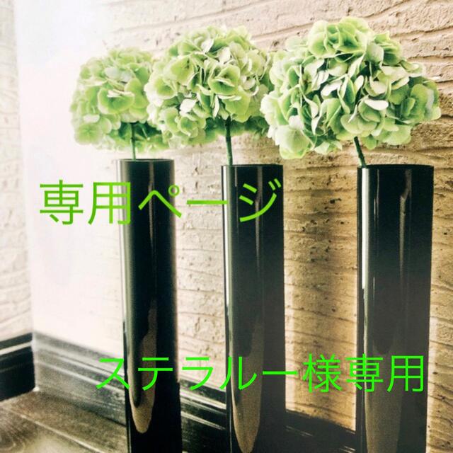 ステラルー様専用です₊⁎⁺˳✧༚