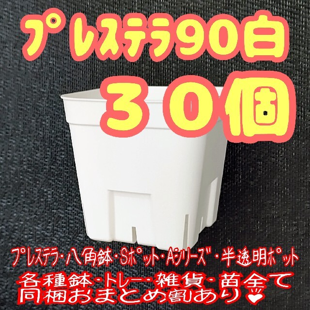 【スリット鉢】プレステラ90白30個 多肉植物 プラ鉢 ハンドメイドのフラワー/ガーデン(プランター)の商品写真