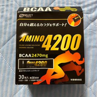 Amino 4200 BCAA(アミノ酸)