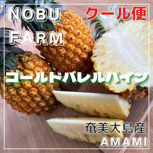 クール便発送‼️ 奄美大島産　パイナップル　ゴールドバレル　3玉　3〜4kg  食品/飲料/酒の食品(フルーツ)の商品写真