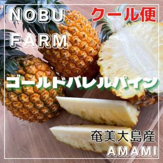 クール便発送‼️ 奄美大島産　パイナップル　ゴールドバレル　3玉　3〜4kg (フルーツ)