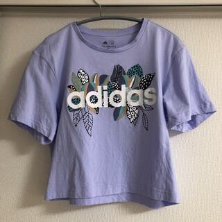 アディダス(adidas)のadidas Tシャツ ショート丈(Tシャツ(半袖/袖なし))