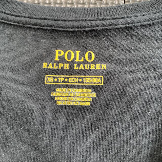POLO RALPH LAUREN(ポロラルフローレン)の美品　ポロラルフローレン  レディースTシャツ　XS レディースのトップス(Tシャツ(半袖/袖なし))の商品写真