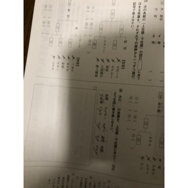 【値下】中学受験　新演習　小5サマートレーニング　算理社未記入　国語一部書き込み エンタメ/ホビーの本(語学/参考書)の商品写真