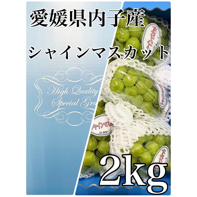 愛媛県内子産【シャインマスカット】 5房 2kg！ 食品/飲料/酒の食品(フルーツ)の商品写真